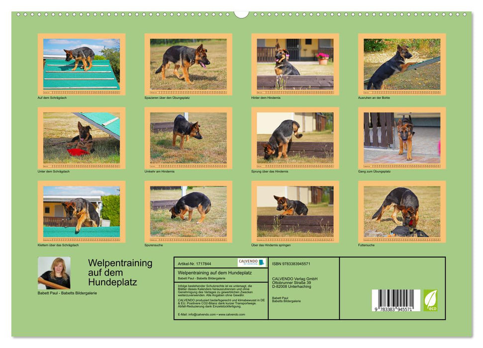 Welpentraining auf dem Hundeplatz (CALVENDO Premium Wandkalender 2025)