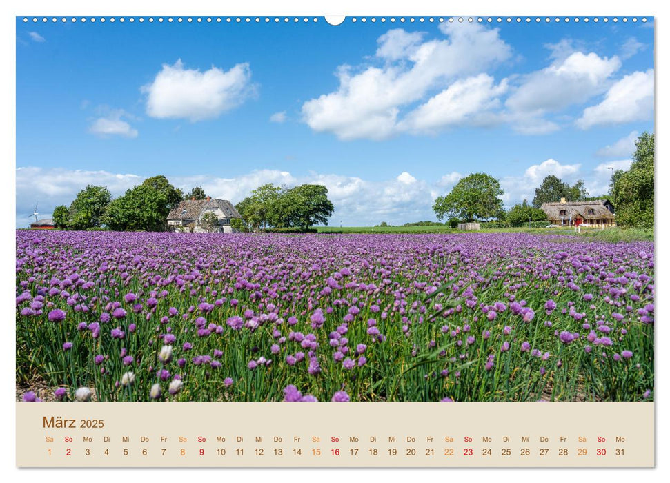 Zauberhaftes Fünen mit den Inseln Helnæs, Tåsinge und Langeland (CALVENDO Wandkalender 2025)