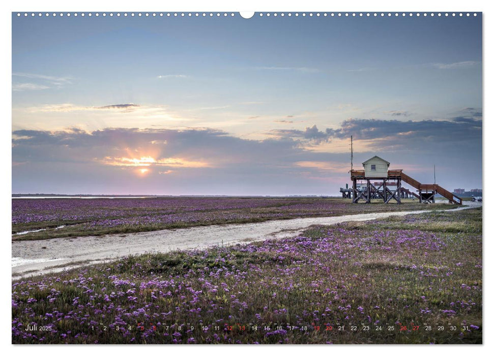 Wunderschönes Eiderstedt (CALVENDO Premium Wandkalender 2025)