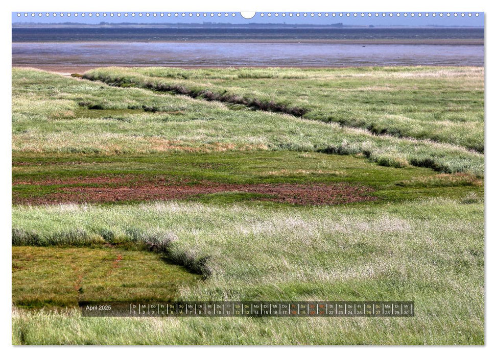 Mandø - Perle im dänischen Wattenmeer (CALVENDO Premium Wandkalender 2025)