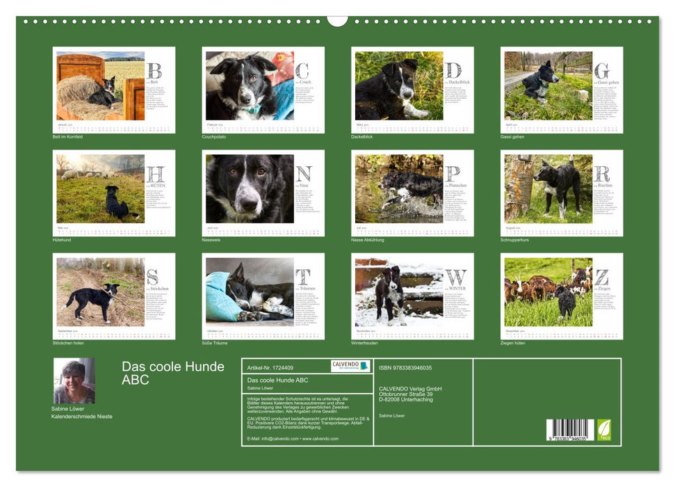 Das coole Hunde ABC (CALVENDO Wandkalender 2025)