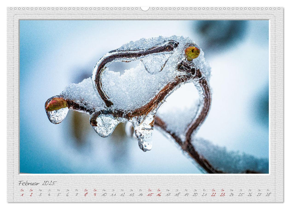 EisKalt Gestaltet (CALVENDO Premium Wandkalender 2025)