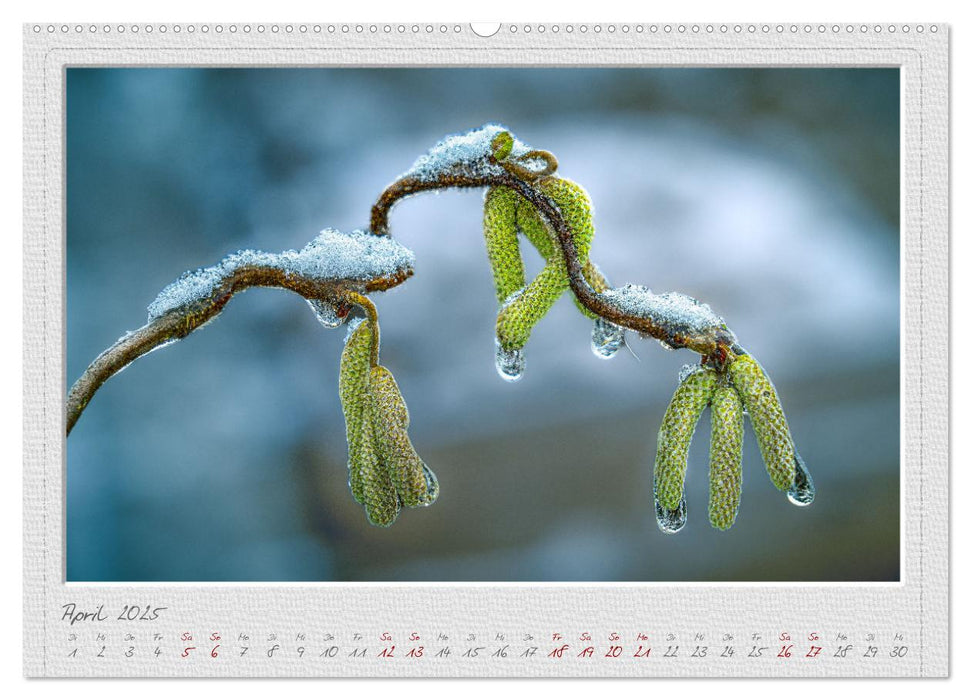 EisKalt Gestaltet (CALVENDO Premium Wandkalender 2025)