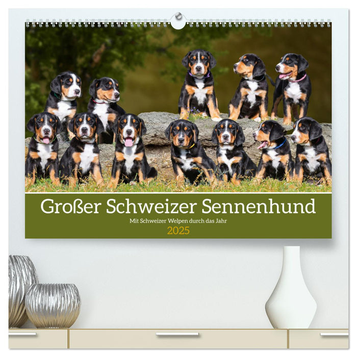 Großer Schweizer Sennenhund - Mit Schweizer Welpen durch das Jahr (CALVENDO Premium Wandkalender 2025)