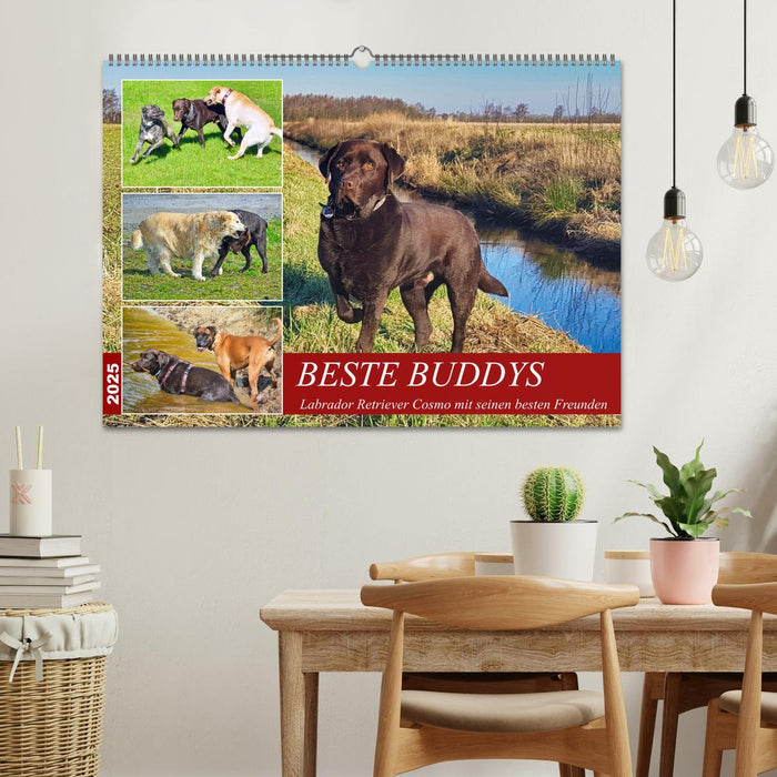 Beste Buddys (CALVENDO Wandkalender 2025)