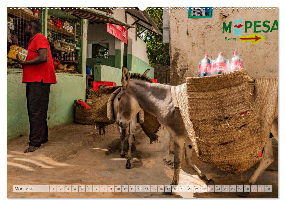 lamu - eintauchen in eine andere Welt vor der Küste Kenias (CALVENDO Premium Wandkalender 2025)