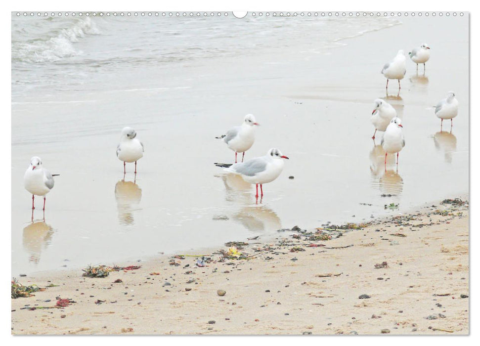 Ostseebad Kühlungsborn. Erholung mit allen Sinnen (CALVENDO Premium Wandkalender 2025)