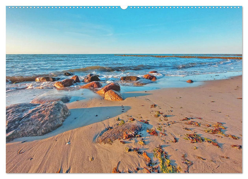 Ostseebad Kühlungsborn. Erholung mit allen Sinnen (CALVENDO Premium Wandkalender 2025)