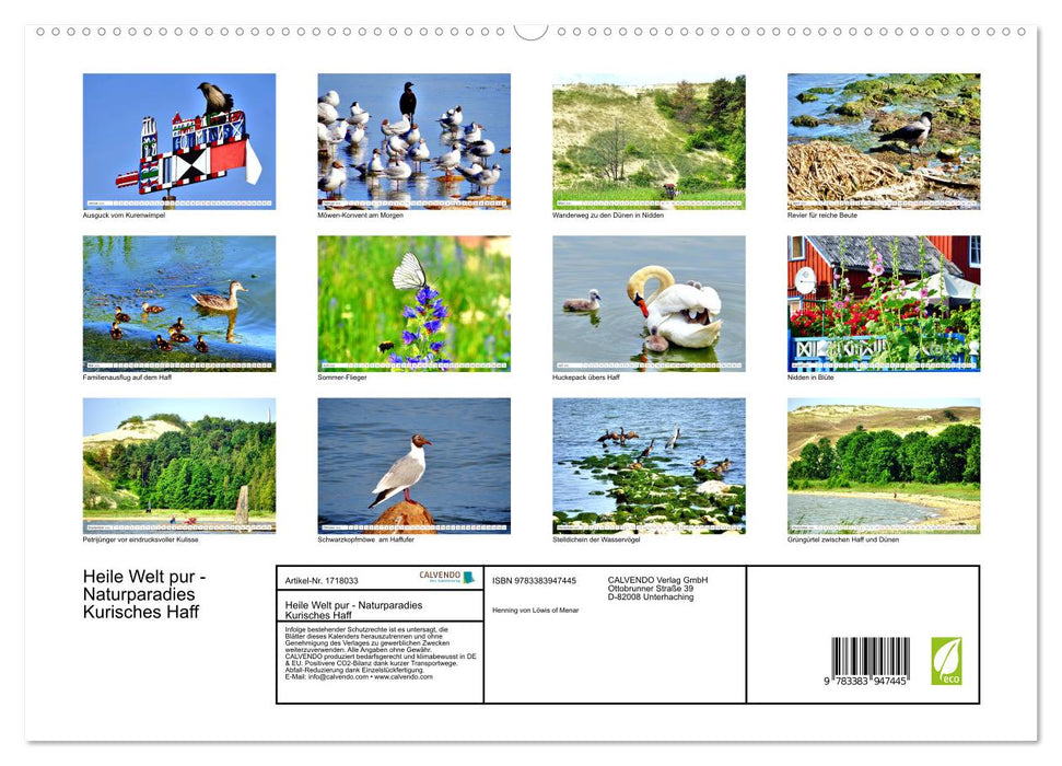 Heile Welt pur - Naturparadies Kurisches Haff (CALVENDO Premium Wandkalender 2025)