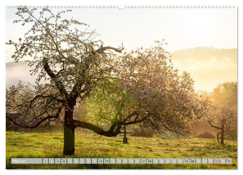 Streifzüge durch die Hebelei (CALVENDO Premium Wandkalender 2025)