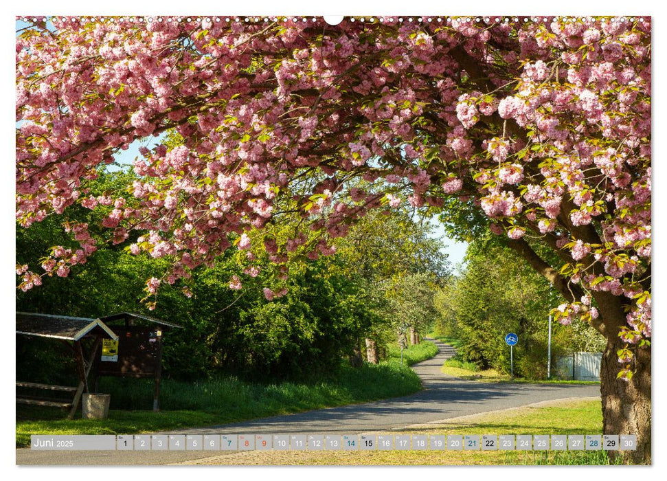 Streifzüge durch die Hebelei (CALVENDO Premium Wandkalender 2025)