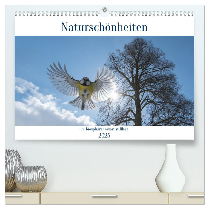 Naturschönheiten im Biosphärerenreservat Rhön (CALVENDO Premium Wandkalender 2025)