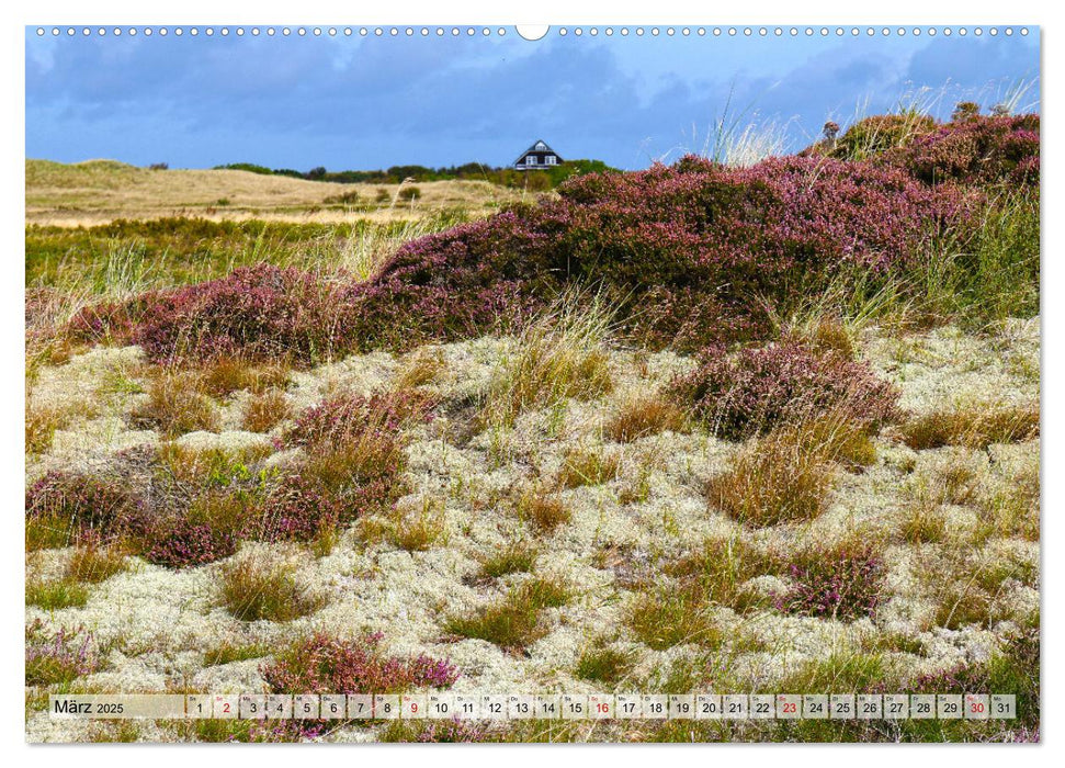 Skagen – Licht und Leben an Dänemarks Nordspitze (CALVENDO Premium Wandkalender 2025)