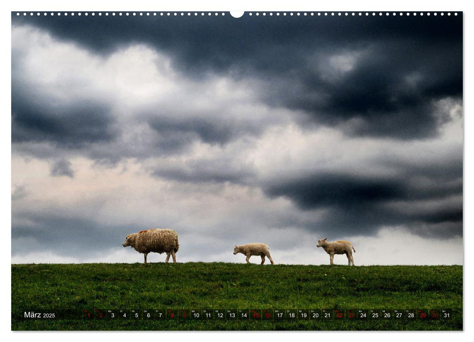 Bis zum Horizont. Der Himmel über Norddeutschland. (CALVENDO Premium Wandkalender 2025)