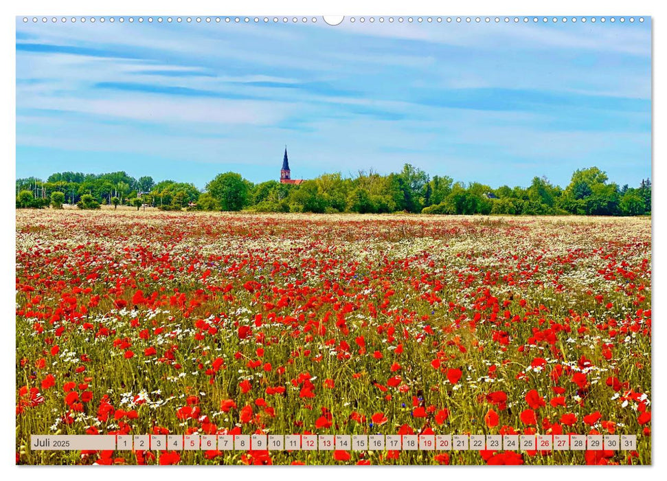 Fischland zwischen Ostsee und Bodden (CALVENDO Premium Wandkalender 2025)