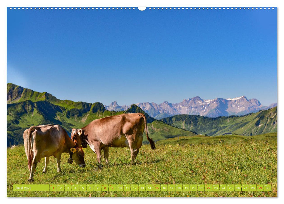 Ein Sommertag in Damüls (CALVENDO Premium Wandkalender 2025)