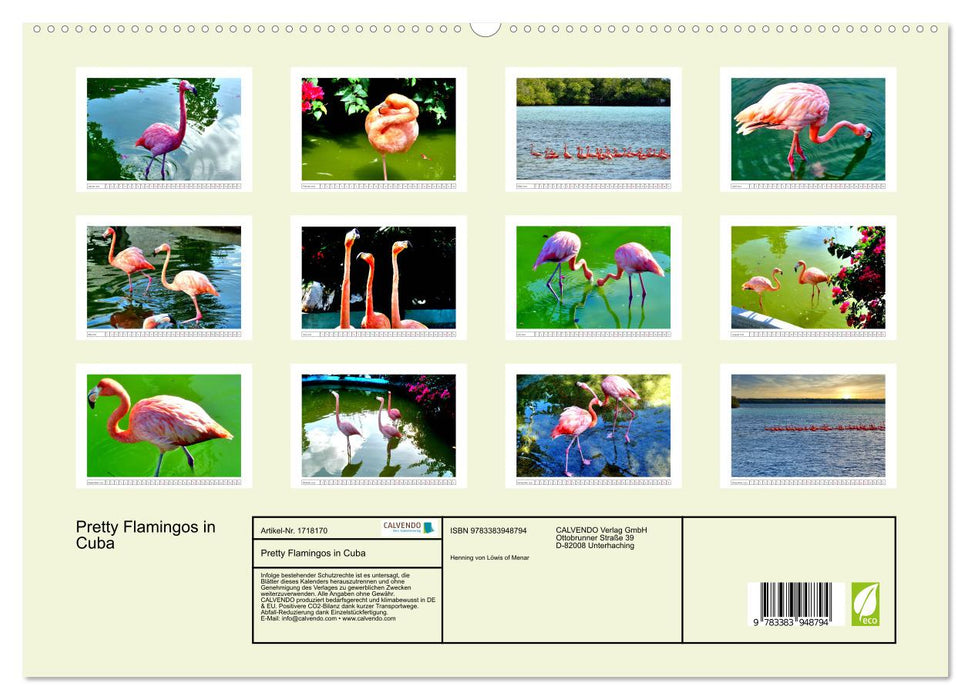 Pretty Flamingos in Cuba (CALVENDO Premium Wandkalender 2025)