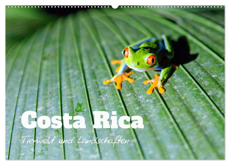 Costa Rica - Tierwelt und Landschaften (CALVENDO Wandkalender 2025)