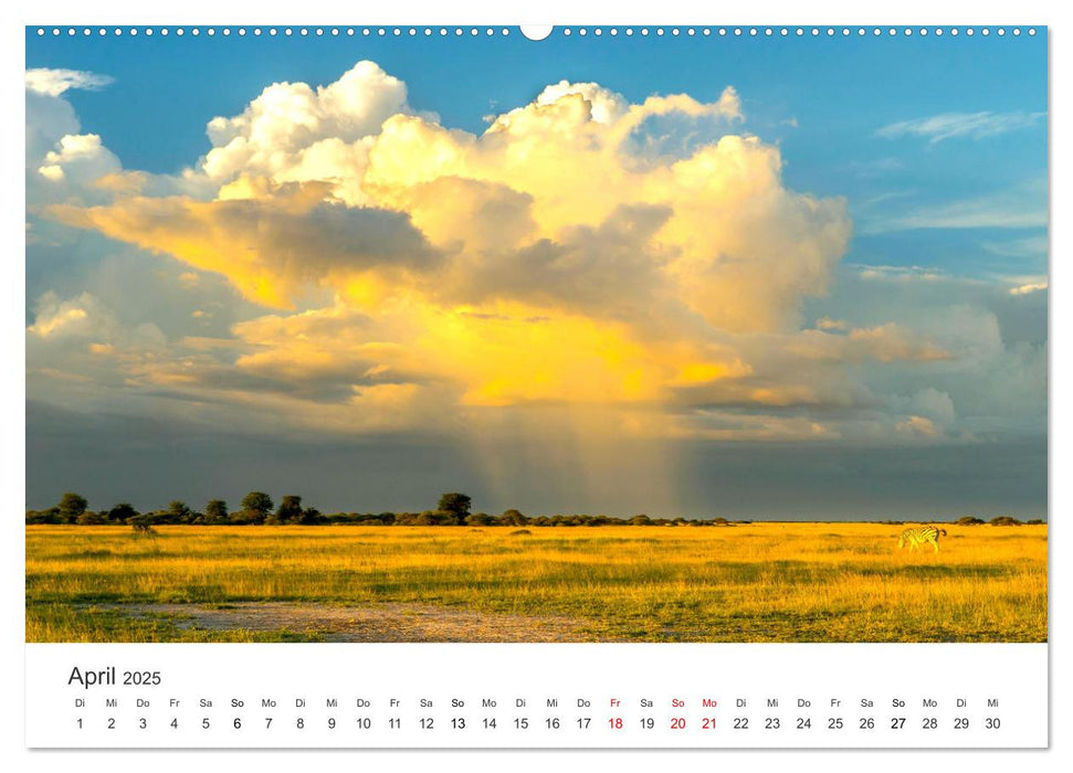 Botswana - Grandiose Wildnis (CALVENDO Premium Wandkalender 2025)