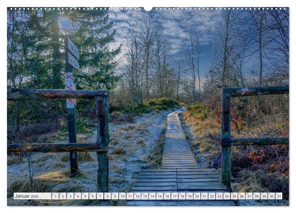 Traumlandschaft Hohes Venn (CALVENDO Premium Wandkalender 2025)