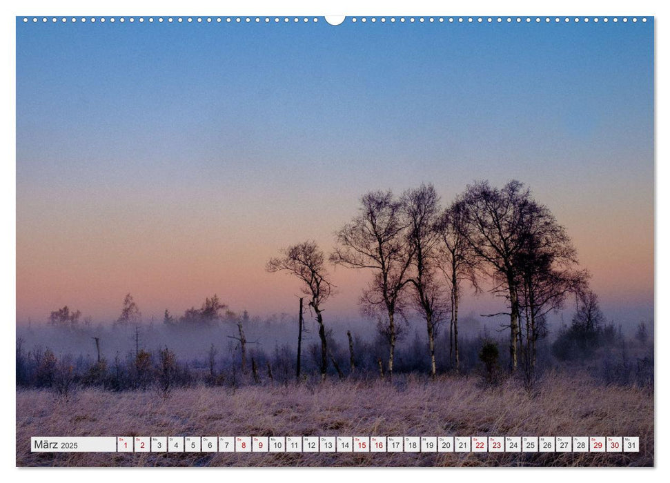 Traumlandschaft Hohes Venn (CALVENDO Premium Wandkalender 2025)