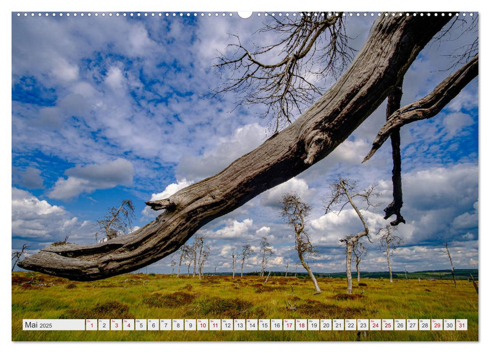 Traumlandschaft Hohes Venn (CALVENDO Premium Wandkalender 2025)