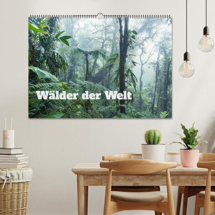 Wälder der Welt (CALVENDO Wandkalender 2025)