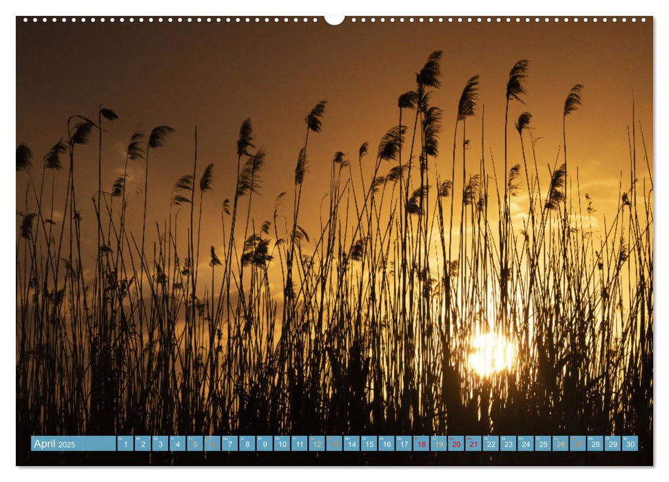 Sehnsuchtsziel Donaudelta (CALVENDO Premium Wandkalender 2025)