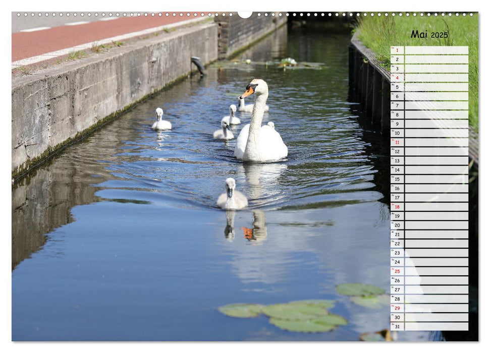 Boat and Bike Tour Südholland Geburtstagskalender (CALVENDO Premium Wandkalender 2025)