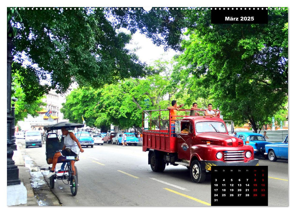 FORD TRUCKS IN KUBA - Veteranen der Strasse (CALVENDO Premium Wandkalender 2025)