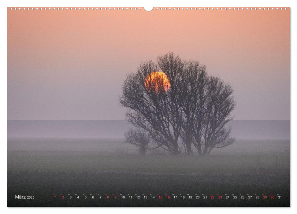 Wunderschönes Eiderstedt (CALVENDO Wandkalender 2025)