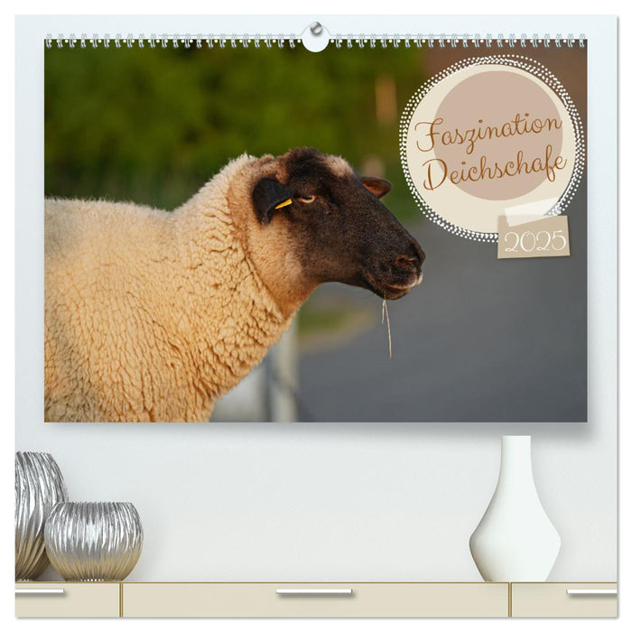 Faszination Deichschafe (CALVENDO Premium Wandkalender 2025)