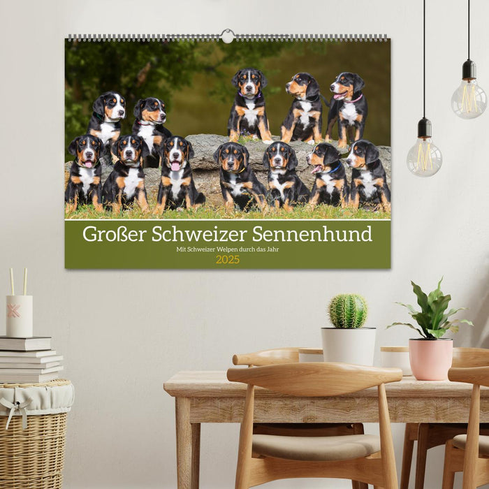 Großer Schweizer Sennenhund - Mit Schweizer Welpen durch das Jahr (CALVENDO Wandkalender 2025)