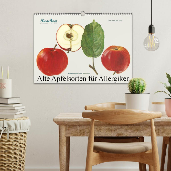 Alte Apfelsorten für Allergiker (CALVENDO Wandkalender 2025)