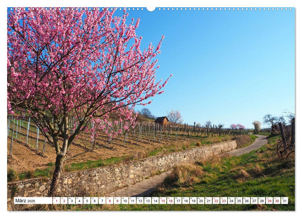 Liebliche Bergstraße - Burgen, Wein und Fachwerk (CALVENDO Wandkalender 2025)