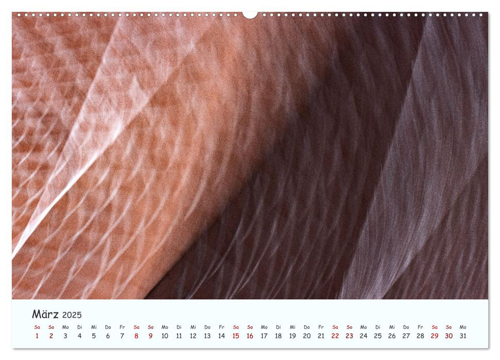 Farbgrafik - Die Schönheit der abstrakten Fotografie (CALVENDO Premium Wandkalender 2025)