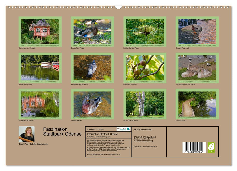 Faszination Stadtpark Odense (CALVENDO Premium Wandkalender 2025)