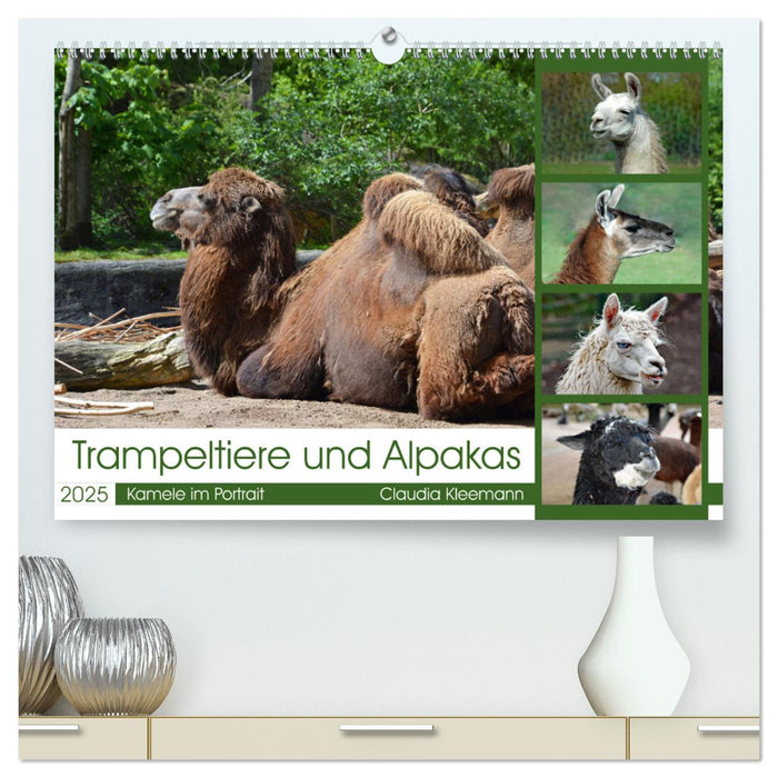 Trampeltiere und Alpakas (CALVENDO Premium Wandkalender 2025)