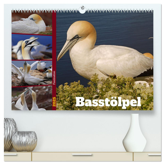 Faszination Basstölpel (CALVENDO Premium Wandkalender 2025)