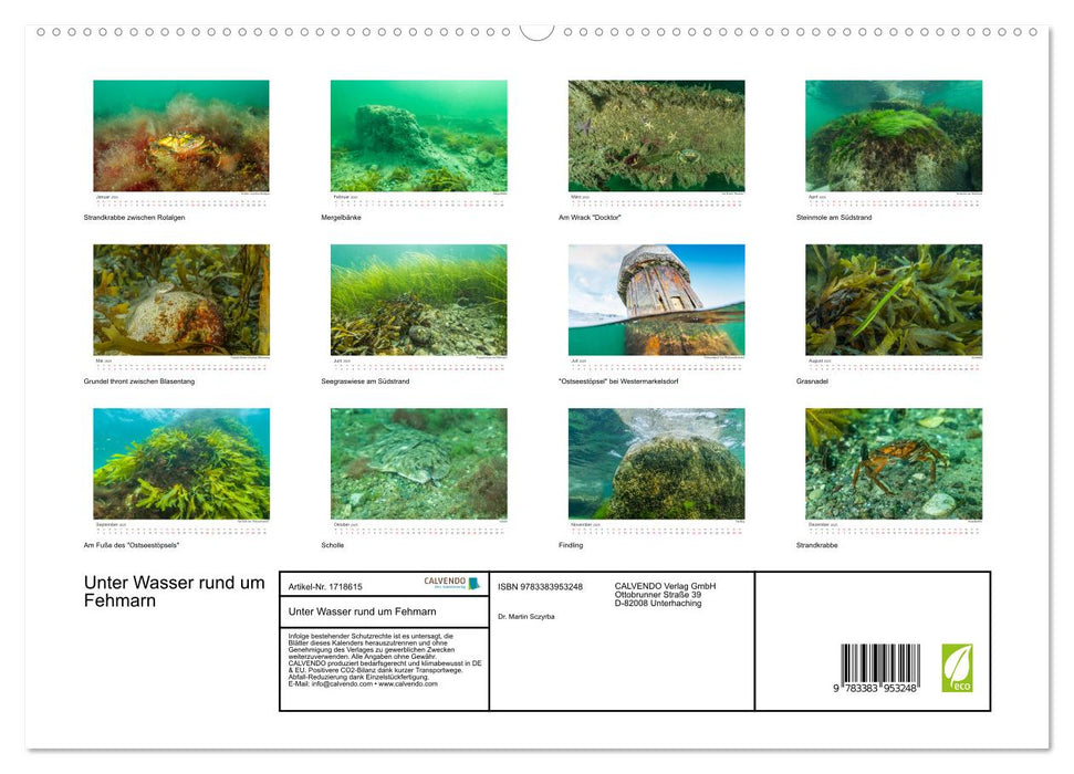 Unter Wasser rund um Fehmarn (CALVENDO Premium Wandkalender 2025)