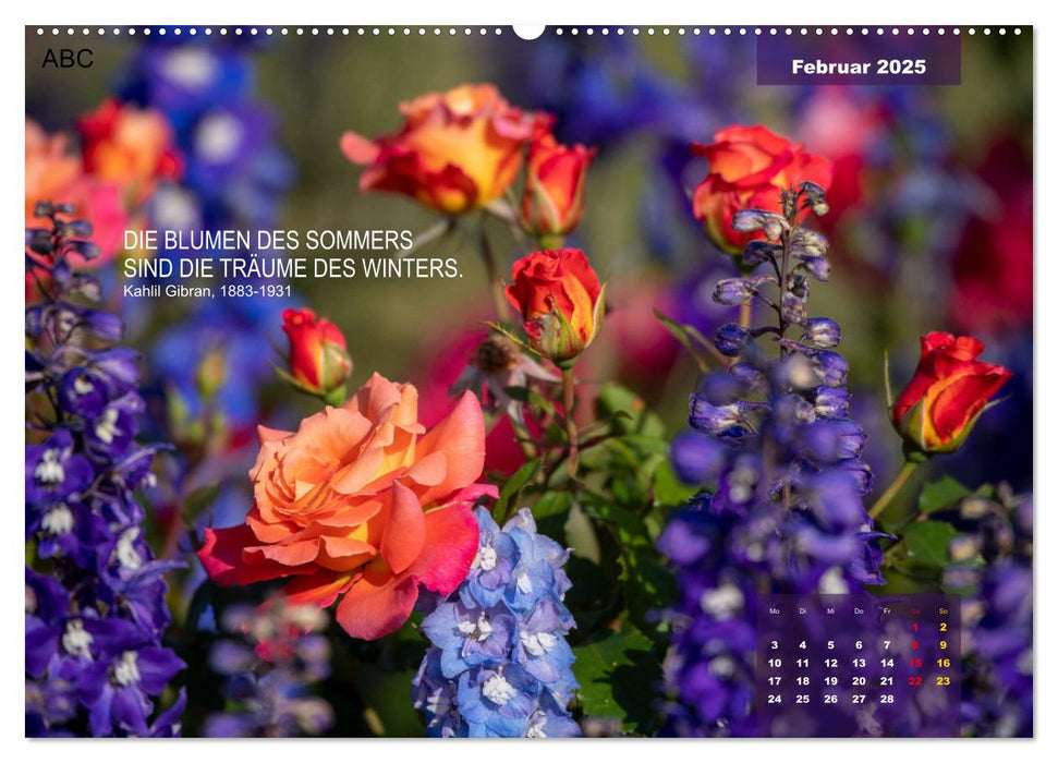 Rose Königin des Gartens (CALVENDO Premium Wandkalender 2025)