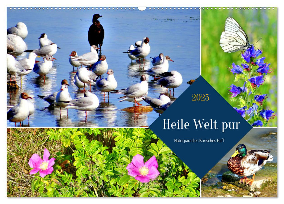 Heile Welt pur - Naturparadies Kurisches Haff (CALVENDO Wandkalender 2025)