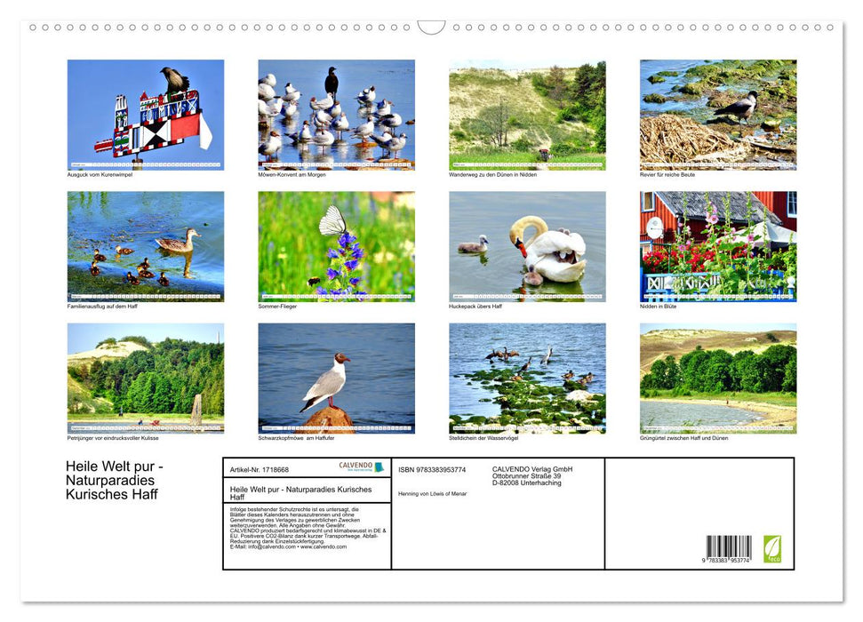 Heile Welt pur - Naturparadies Kurisches Haff (CALVENDO Wandkalender 2025)