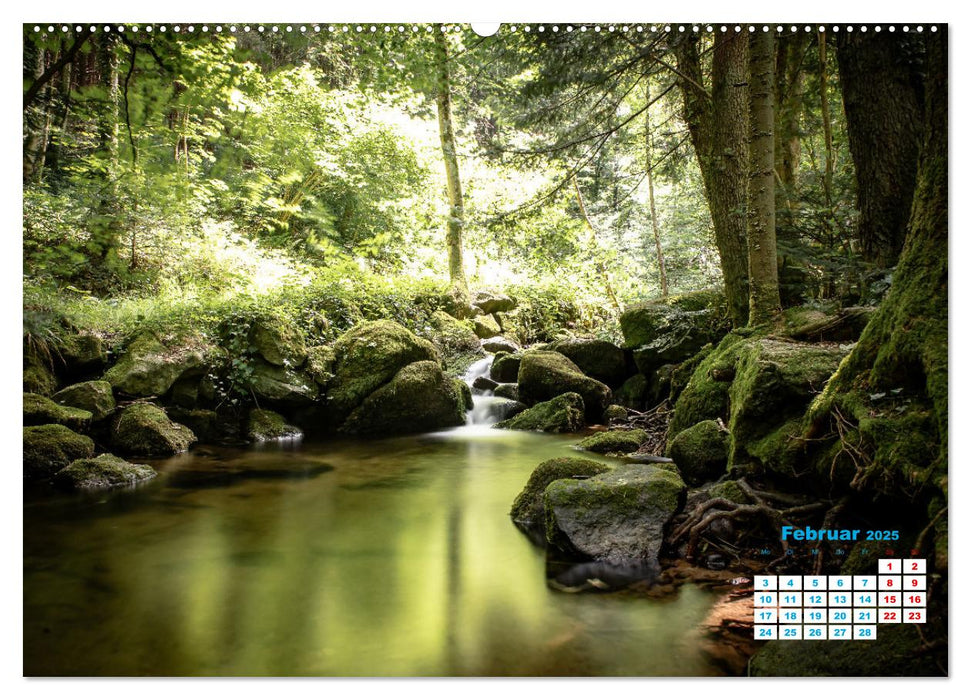 Wasserfall im Bühlertal (CALVENDO Premium Wandkalender 2025)