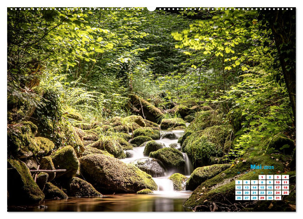 Wasserfall im Bühlertal (CALVENDO Premium Wandkalender 2025)