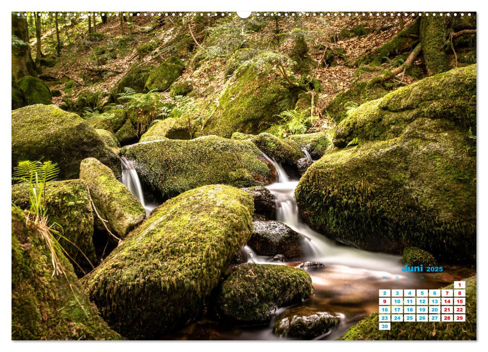 Wasserfall im Bühlertal (CALVENDO Premium Wandkalender 2025)