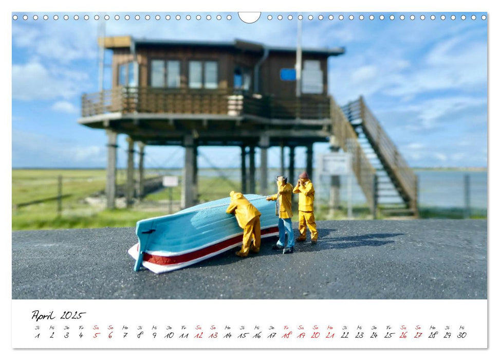 Wangerooge anders erleben (CALVENDO Wandkalender 2025)