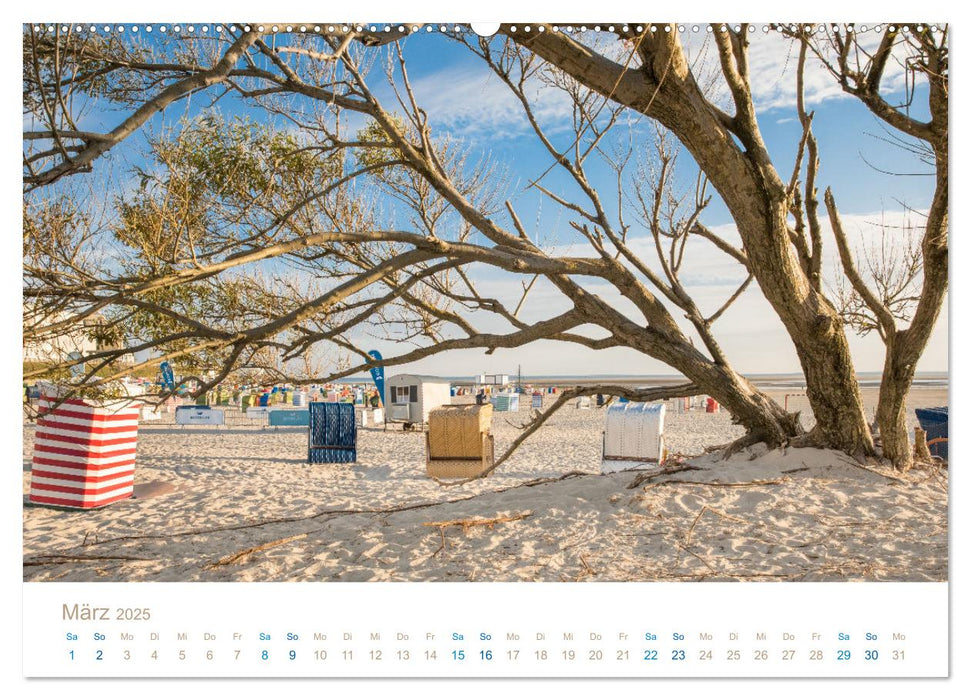 Meine Insel Borkum (CALVENDO Premium Wandkalender 2025)