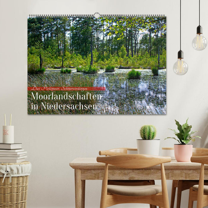 Niedersachsens Moorlandschaften - Das Pietzmoor, Schneverdingen (CALVENDO Wandkalender 2025)