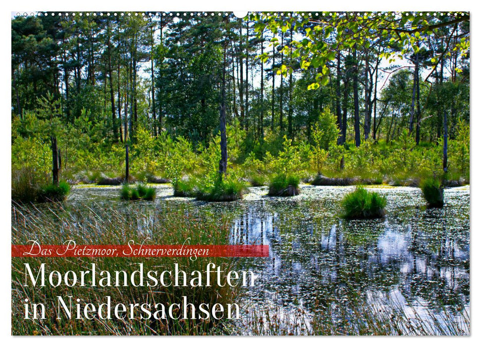 Niedersachsens Moorlandschaften - Das Pietzmoor, Schneverdingen (CALVENDO Wandkalender 2025)